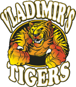 kickboxing maythai odbrana vladimir djordjevic vladimirs tigers